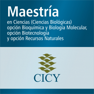 Maestr&iacute;a en Ciencias (Ciencias Biol&oacute;gicas) opci&oacute;n Bioqu&iacute;mica y Biolog&iacute;a Molecular, opci&oacute;n Biotecnolog&iacute;a y opci&oacute;n Recursos Naturales (SNP)