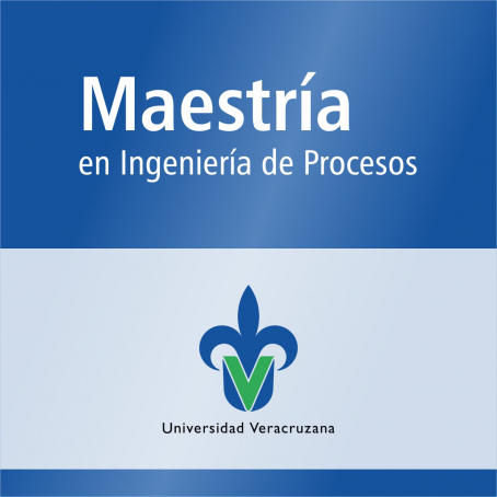 Maestr&iacute;a en Ingenier&iacute;a de Procesos&nbsp;(SNP)