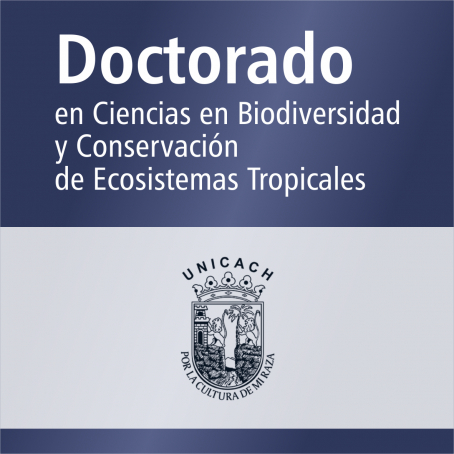 Doctorado en Ciencias en Biodiversidad y Conservaci&oacute;n de Ecosistemas Tropicales&nbsp;(SNP)