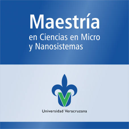 Maestr&iacute;a en Ciencias en Micro&nbsp;y Nanosistemas (SNP)