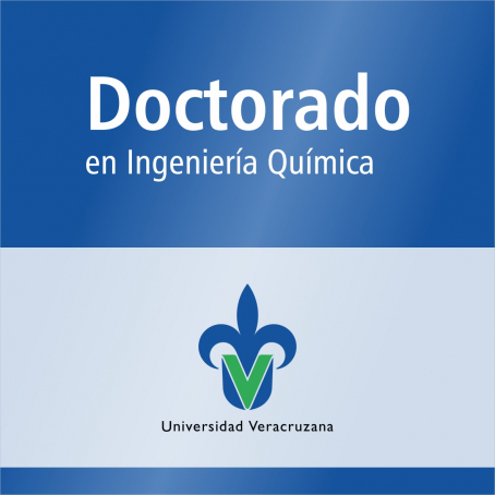 Doctorado en Ingenier&iacute;a Qu&iacute;mica (SNP)