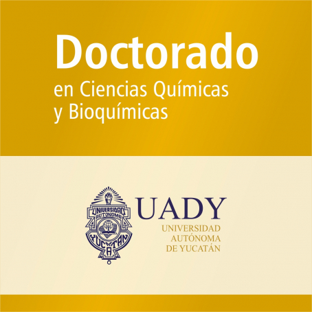 Doctorado en Ciencias Qu&iacute;micas y Bioqu&iacute;micas