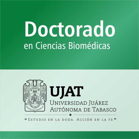 Doctorado en Ciencias Biom&eacute;dicas&nbsp;(PNPC)