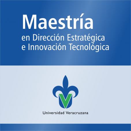 Maestr&iacute;a en Direcci&oacute;n Estrat&eacute;gica&nbsp;e Innovaci&oacute;n Tecnol&oacute;gica (SNP)