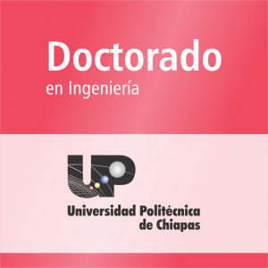 Doctorado en Ingenier&iacute;a