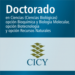 Doctorado en Ciencias (Ciencias Biol&oacute;gicas) opci&oacute;n Bioqu&iacute;mica y Biolog&iacute;a Molecular, opci&oacute;n Biotecnolog&iacute;a y opci&oacute;n Recursos Naturales (SNP)