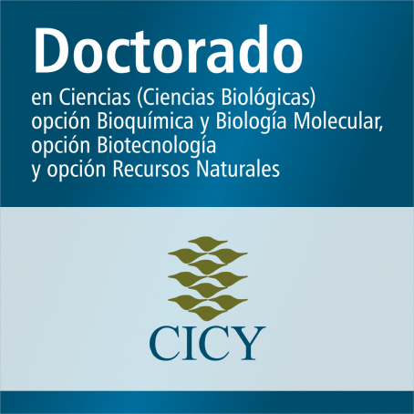 Doctorado en Ciencias (Ciencias Biol&oacute;gicas) opci&oacute;n Bioqu&iacute;mica y Biolog&iacute;a Molecular, opci&oacute;n Biotecnolog&iacute;a y opci&oacute;n Recursos Naturales (SNP)