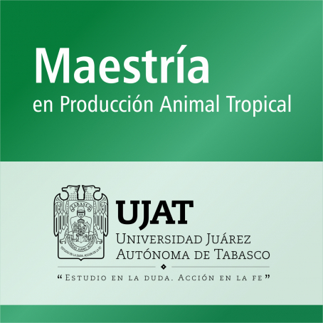 Maestr&iacute;a en Producci&oacute;n Animal Tropical (PNPC)