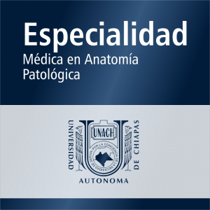 Especialidad M&eacute;dica en Anatom&iacute;a Patol&oacute;gica