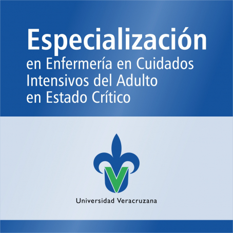 Especializaci&oacute;n en Enfermer&iacute;a en Cuidados Intensivos del Adulto en Estado Cr&iacute;tico