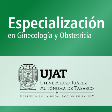 Especializaci&oacute;n en Ginecolog&iacute;a y Obstetricia