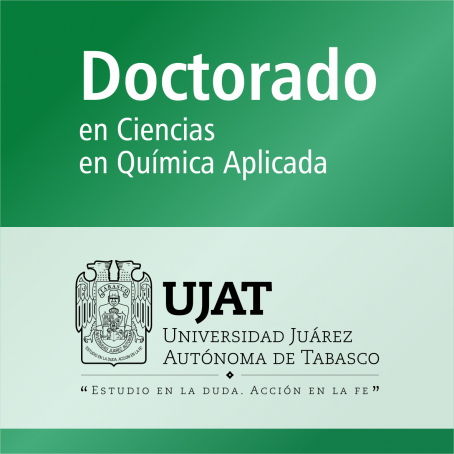 Doctorado en Ciencias en Qu&iacute;mica Aplicada (PNPC)