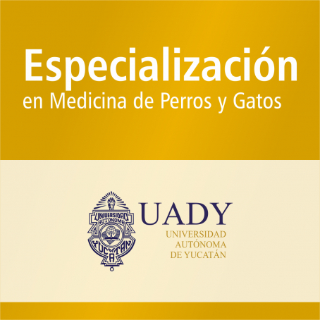 Especializaci&oacute;n en Medicina de Perros y Gatos (SNP)