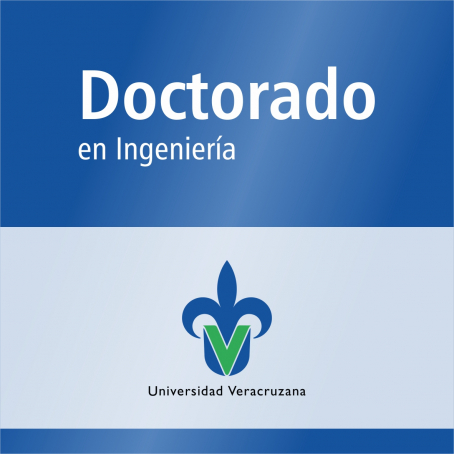 Doctorado en Ingenier&iacute;a (SNP)